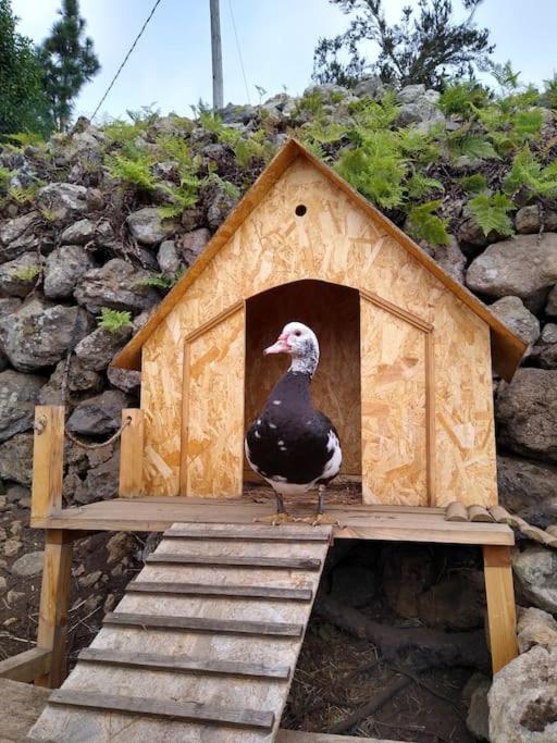 Los Huertos Conect With The Nature & Relax Icod De Los Vinos Exterior foto