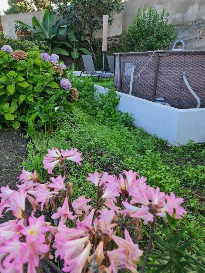 Los Huertos Conect With The Nature & Relax Icod De Los Vinos Exterior foto